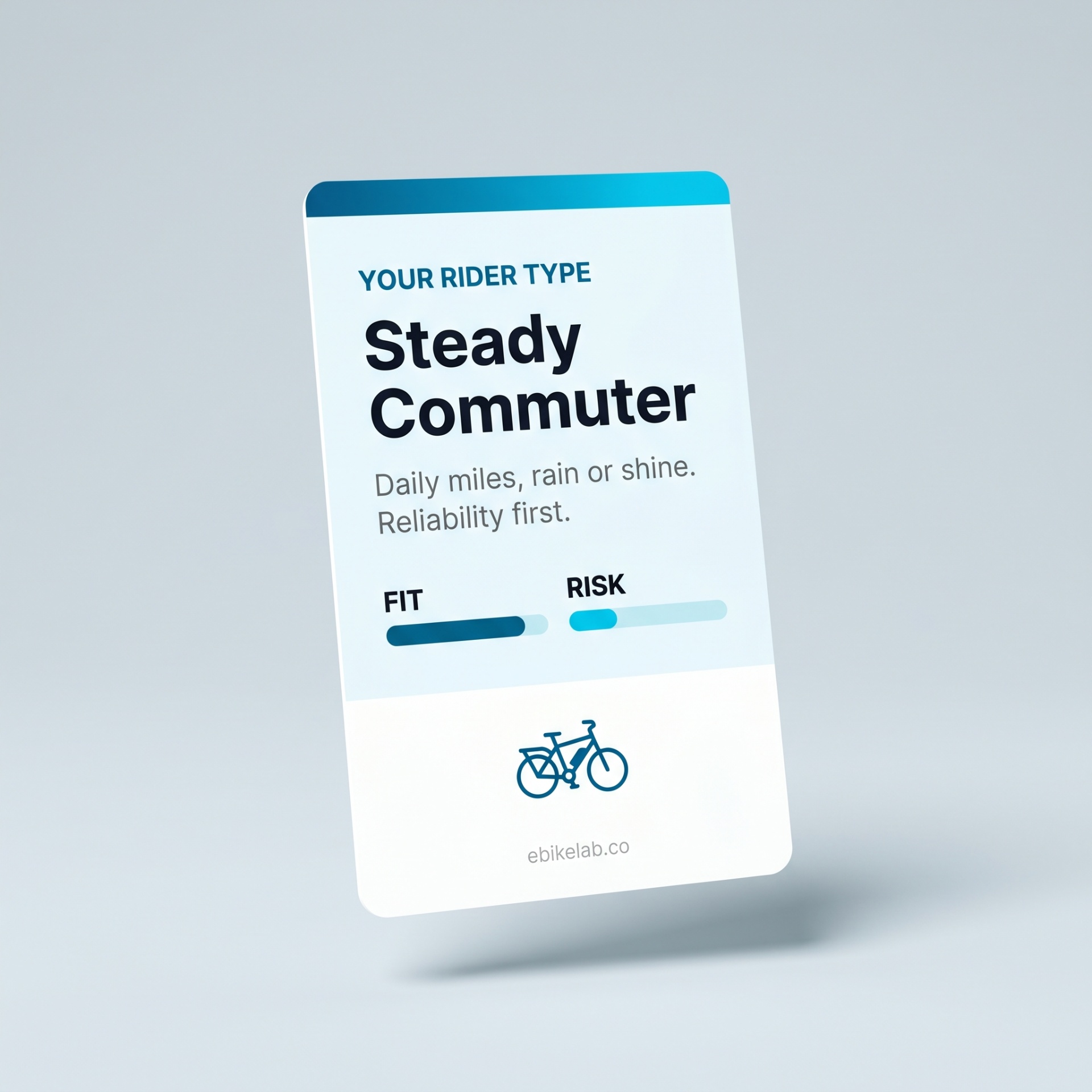 Sample Rider Type card showing a Steady Commuter profile